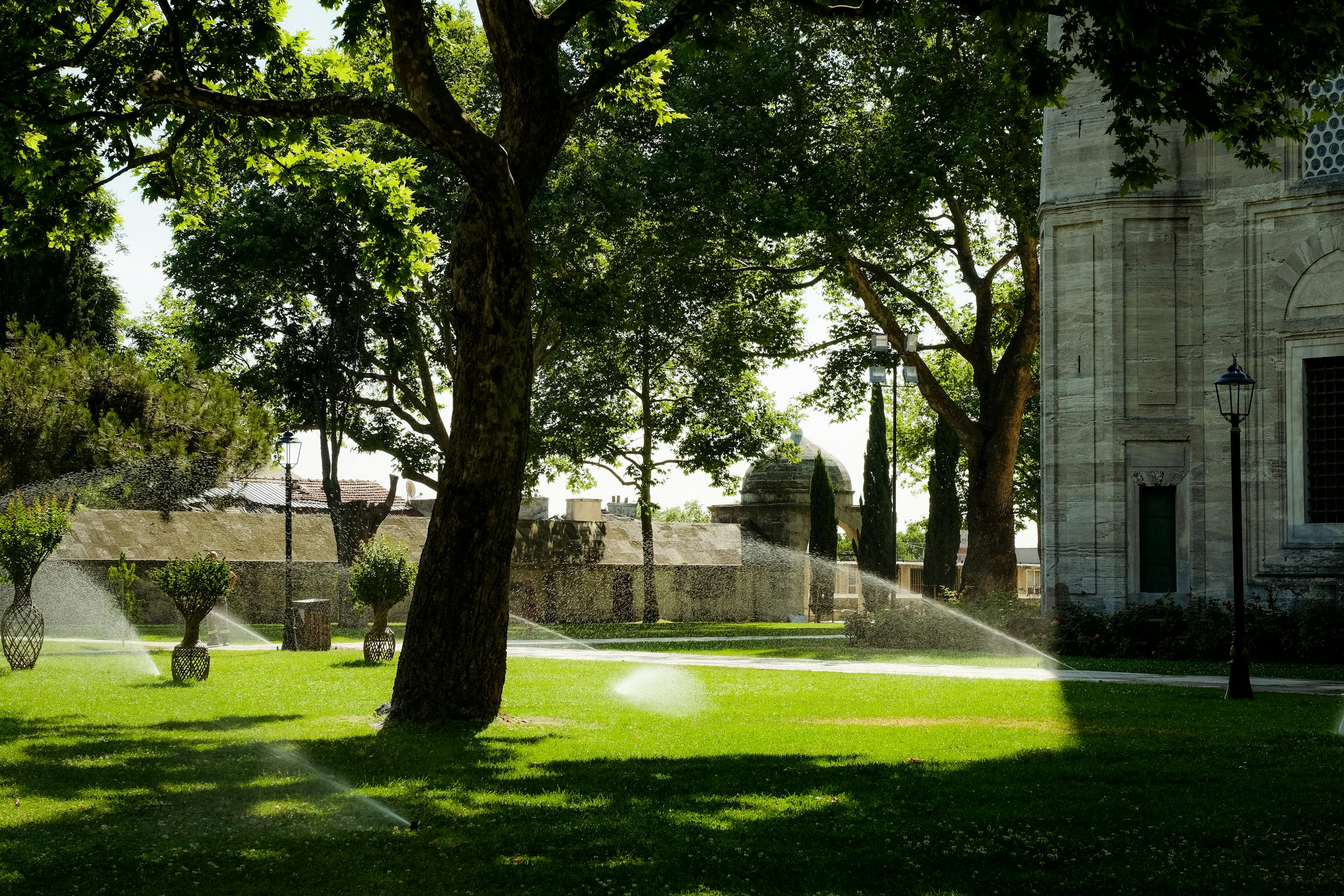 A lush courtyard with sprinklers and trees on a sunny day, creating vibrant shadows and textures.